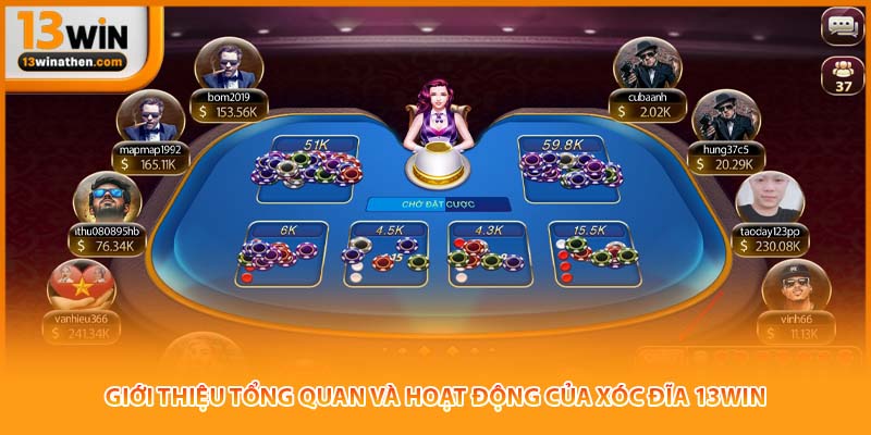Giới thiệu tổng quan và hoạt động của xóc đĩa 13win