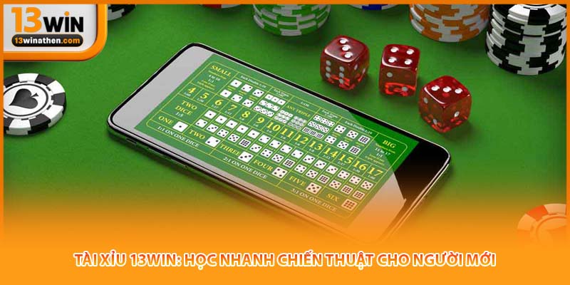 Tài Xỉu 13win: Học Nhanh Chiến Thuật Cho Người Mới