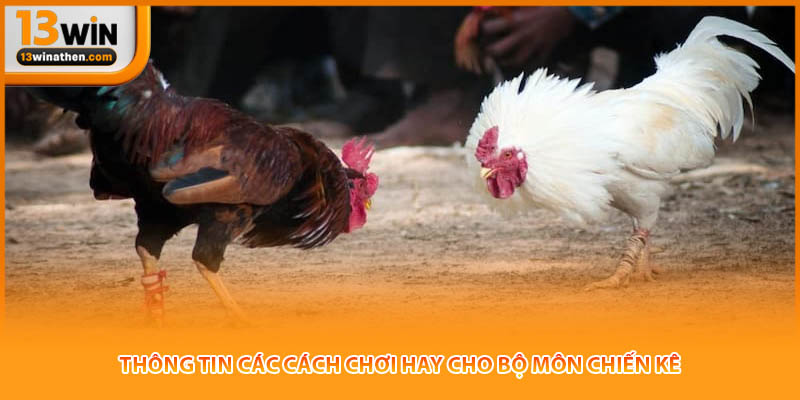 Thông tin các cách chơi hay cho bộ môn chiến kê