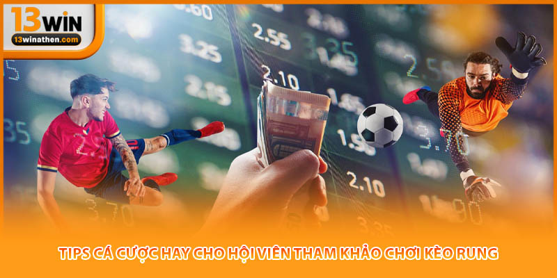 Tips cá cược hay cho hội viên tham khảo chơi kèo rung