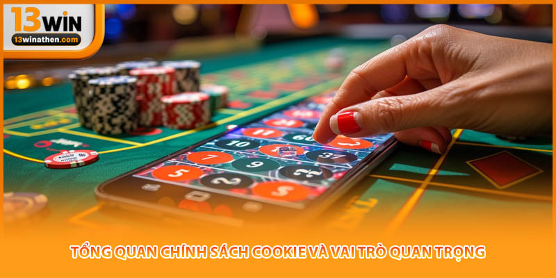 Tổng quan chính sách cookie và vai trò quan trọng